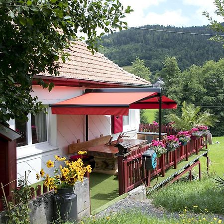 切斯米米尔乡村度假屋 Breitenbach-Haut-Rhin 外观 照片