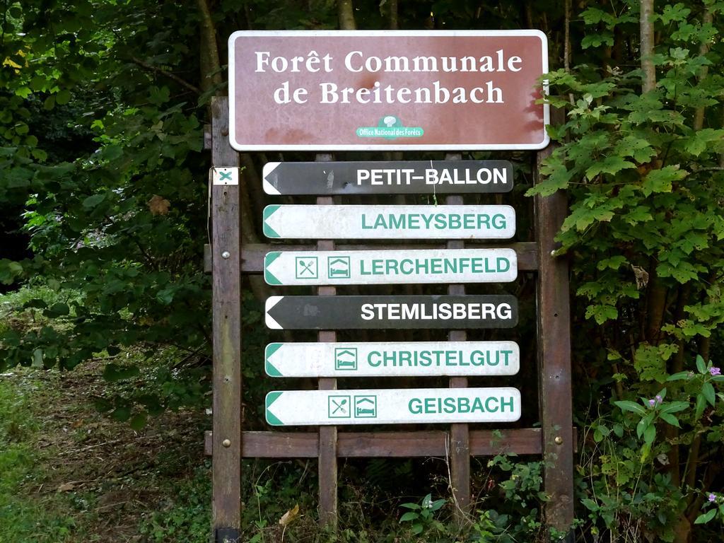 切斯米米尔乡村度假屋 Breitenbach-Haut-Rhin 外观 照片