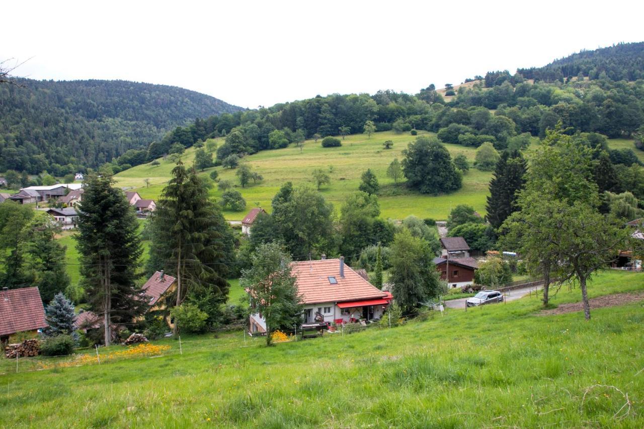 切斯米米尔乡村度假屋 Breitenbach-Haut-Rhin 外观 照片