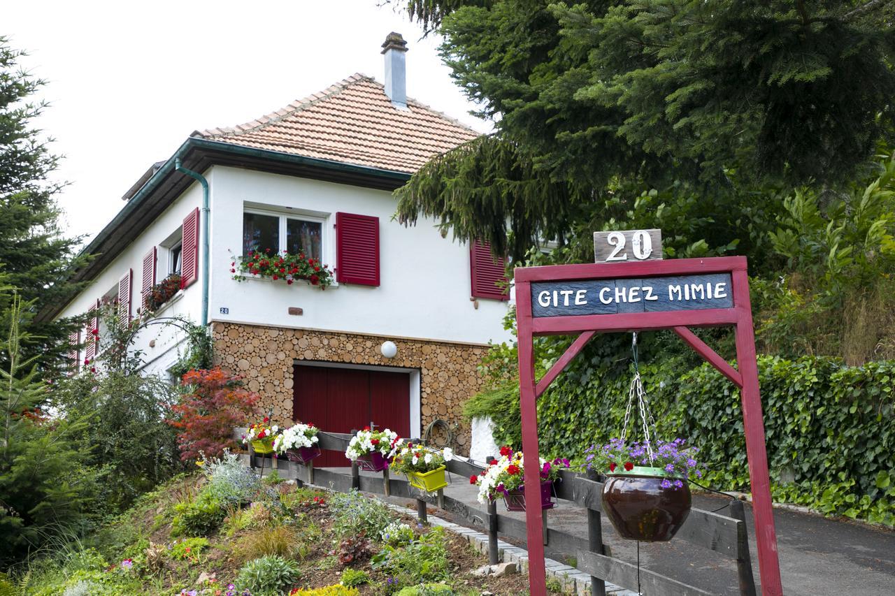 切斯米米尔乡村度假屋 Breitenbach-Haut-Rhin 外观 照片