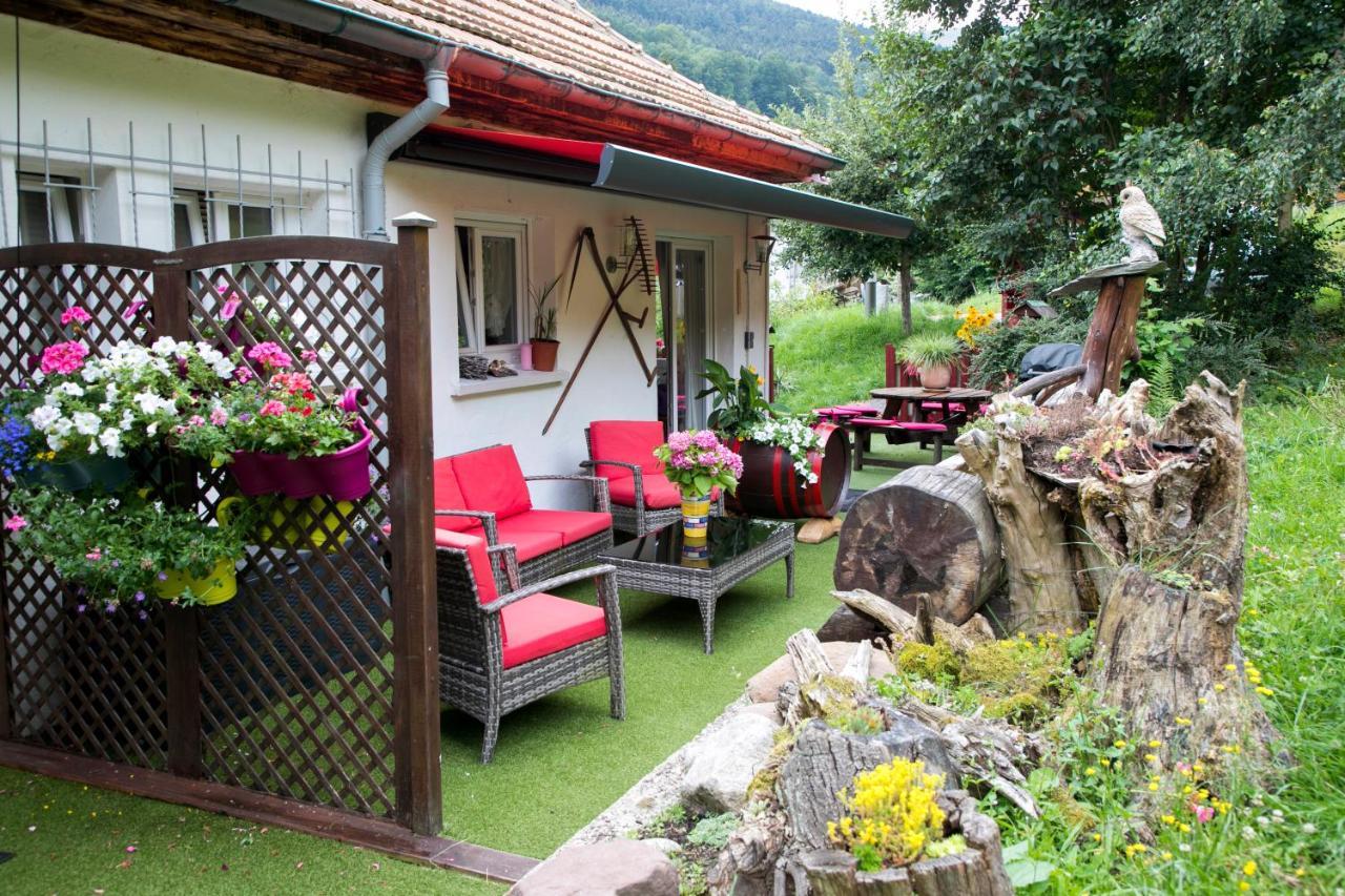 切斯米米尔乡村度假屋 Breitenbach-Haut-Rhin 外观 照片